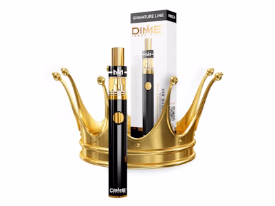 King Louis XIII