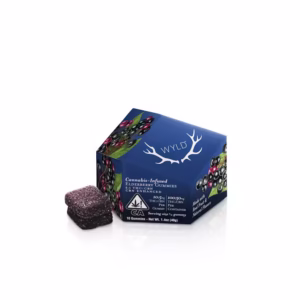 Elderberry 2:1 CBN + Indica Enhanced Gummies 100mg:50mg-WYLD